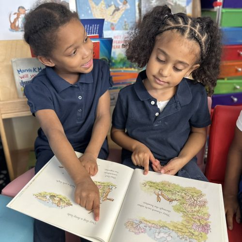 549B0789-950F-449B-8EDF-03013FE5C68C_1_102_a